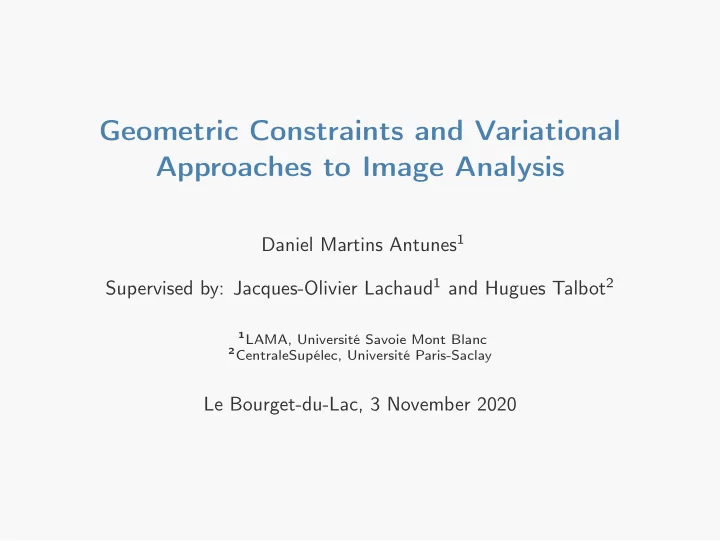 geometric constraints and variational approaches to image
