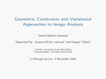 Geometric Constraints and Variational  Approaches to Image Analysis Daniel Martins Antunes 1