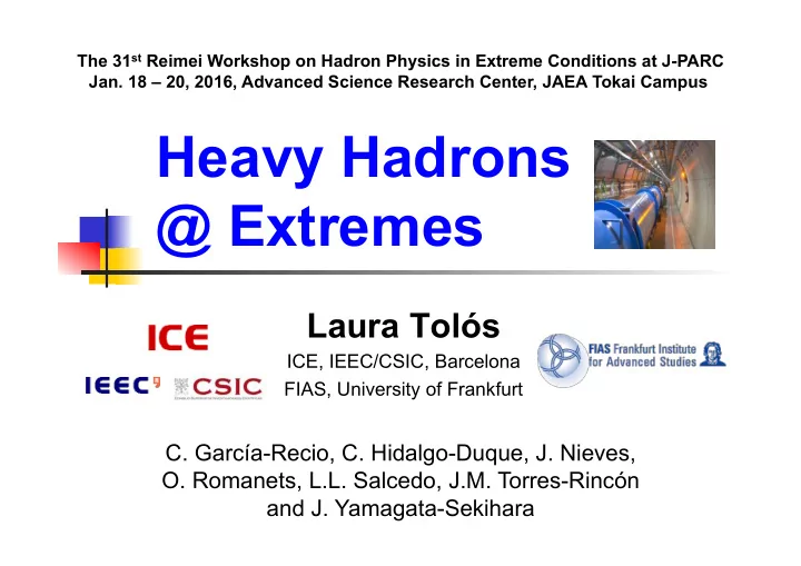 heavy hadrons extremes