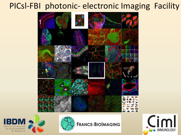 picsl fbi photonic electronic imaging facility