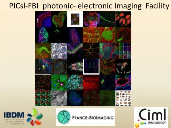 PICsl-FBI  photonic- electronic Imaging  Facility  IBDM Imaging facility  200  researchers  +  20