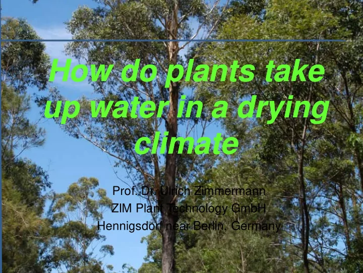 how do plants take how do plants take up water in a