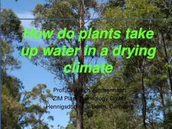 How do plants take  How do plants take  up water in a drying  up water in a drying  climate