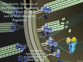 The Atomic  Structure of  the Microtubule Nucleating  -tubulin Small Complex  and its
