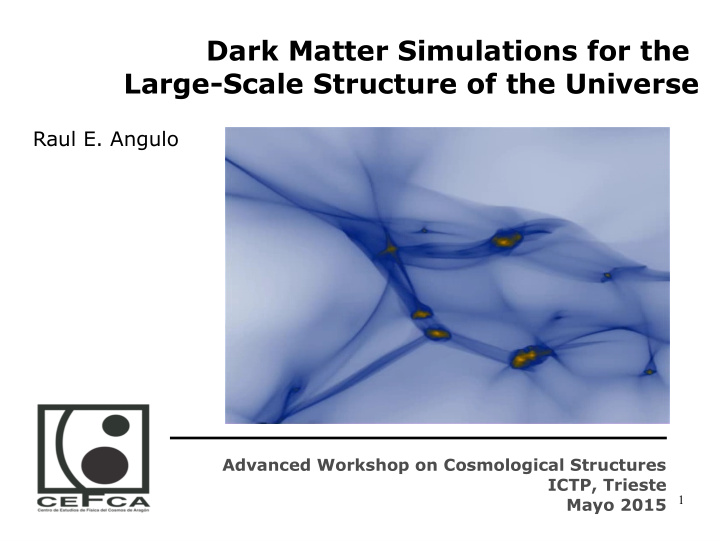 dark matter simulations for the large scale structure of