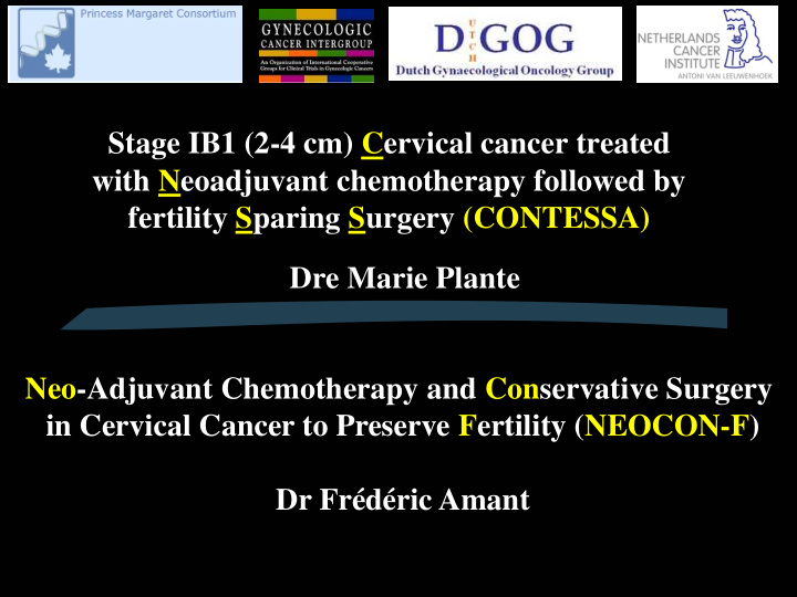 stage ib1 2 4 cm cervical cancer treated