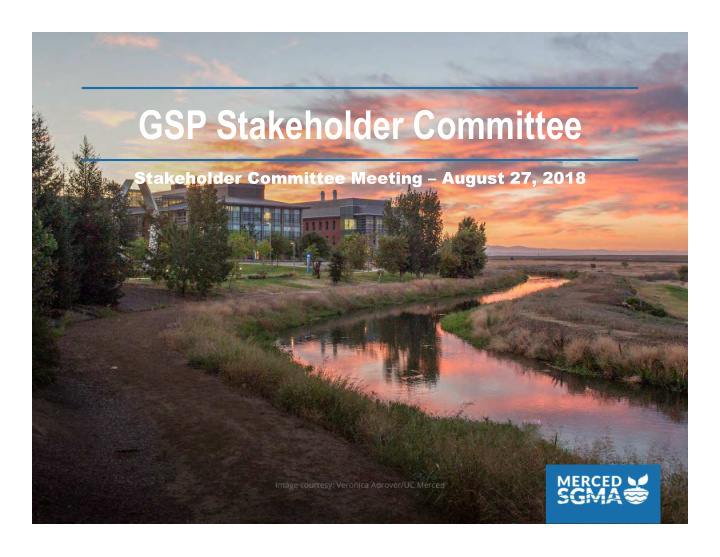 gsp stakeholder committee
