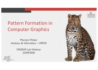 Pattern Formation in  Computer Graphics  Marcelo Walter  Instituto de Informtica  UFRGS