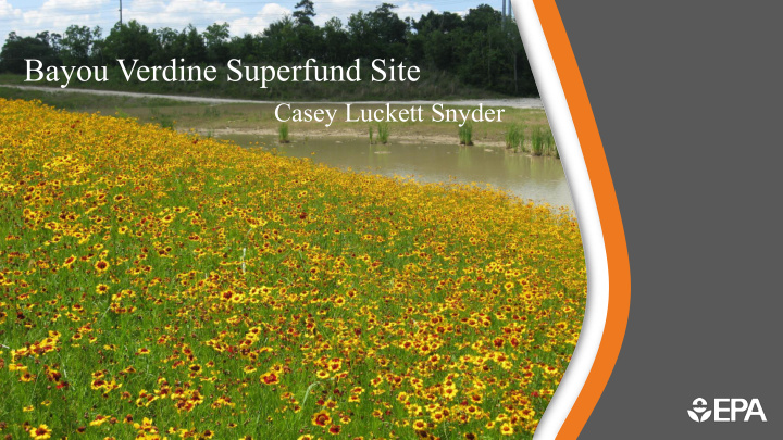 bayou verdine superfund site
