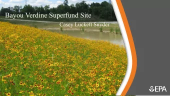 Bayou Verdine Superfund Site  Casey Luckett Snyder  Presentation Overview  Site History  Site