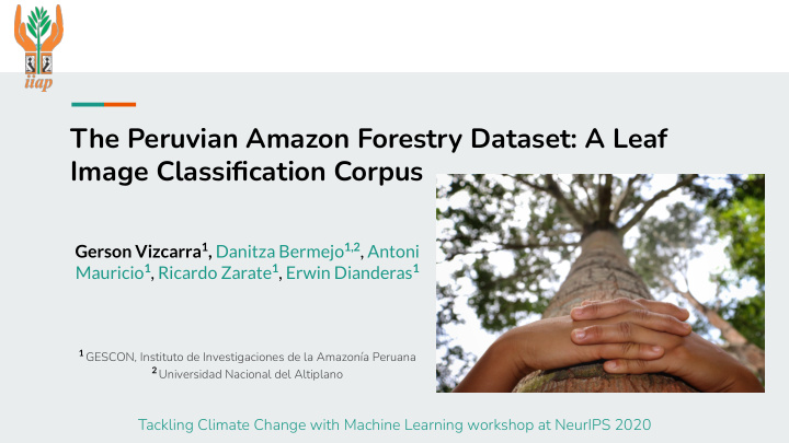 the peruvian amazon forestry dataset a leaf image