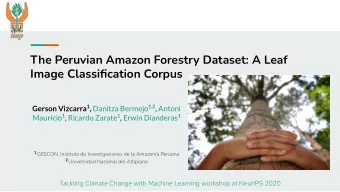 The Peruvian Amazon Forestry Dataset: A Leaf  Image Classification Corpus Gerson Vizcarra 1 ,