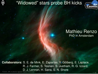 Widowed stars probe BH kicks  Bin  C  osmos  Mathieu Renzo  PhD in Amsterdam Collaborators: