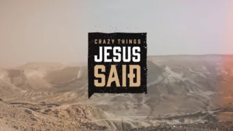 NATURE OF TRUE WORSHIP Mark 11:12-19 The Fig Tree MARK 11:12-14  The next day when they came out