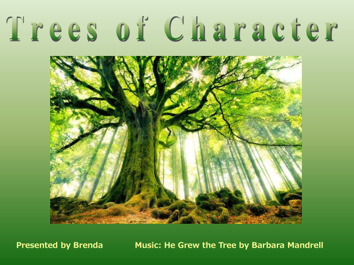 presented by brenda music he grew the tree by barbara