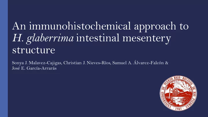 h glaberrima intestinal mesentery
