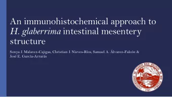H. glaberrima intestinal mesentery  structure  Sonya J. Malavez-Cajigas, Christian J. Nieves-Ros,