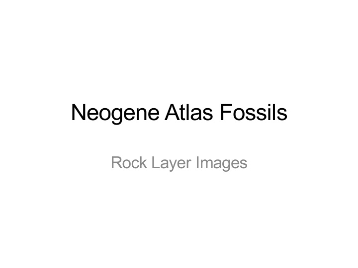 neogene atlas fossils