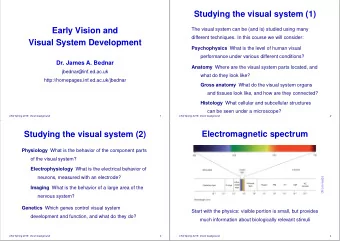 Studying the visual system (1)  Early Vision and  The visual system can be (and is) studied using