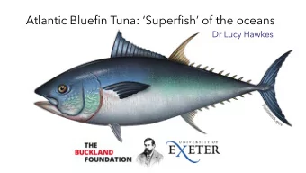 Atlantic Bluefin Tuna: Superfish of the oceans  Dr Lucy Hawkes  Frank Buckland  Museum of