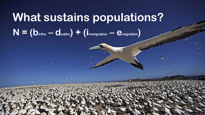 what sustains populations