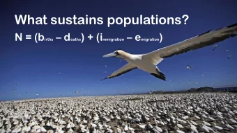 What sustains populations? N = (b irths  d eaths ) + (i mmigration  e migration )  WAMSI