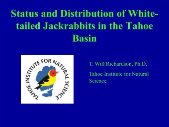 tailed Jackrabbits in the Tahoe Basin  T. Will Richardson, Ph.D.  Tahoe Institute for Natural