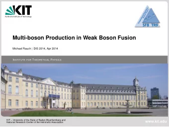 Multi-boson Production in Weak Boson Fusion Michael Rauch | DIS 2014, Apr 2014 I NSTITUTE FOR T