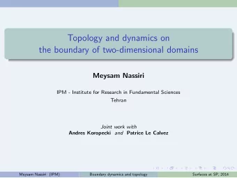 Topology and dynamics on  the boundary of two-dimensional domains  Meysam Nassiri  IPM - Institute