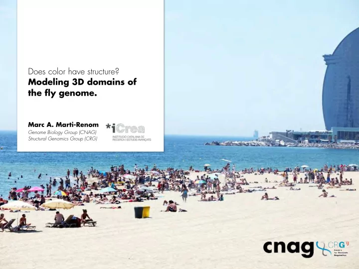 does color have structure modeling 3d domains of the fly