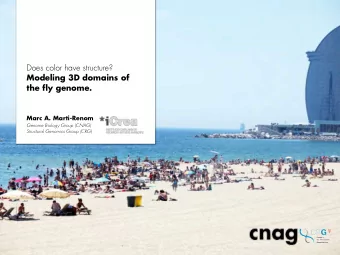 Does color have structure?  Modeling 3D domains of the fly genome. Marc A. Marti-Renom Genome