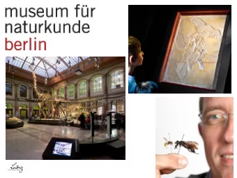 Digital representations of the  collection objects in the Museum  fr Naturkunde Berlin  Falko