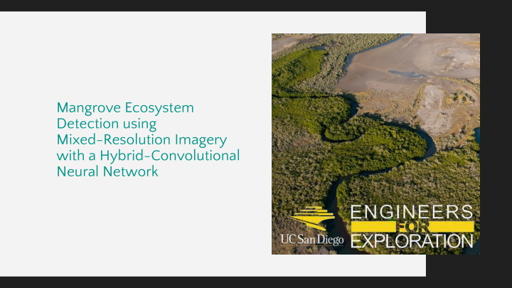 mangrove ecosystem detection using mixed resolution