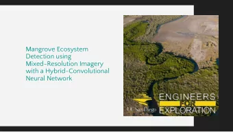 Mangrove Ecosystem  Detection using  Mixed-Resolution Imagery  with a Hybrid-Convolutional  Neural