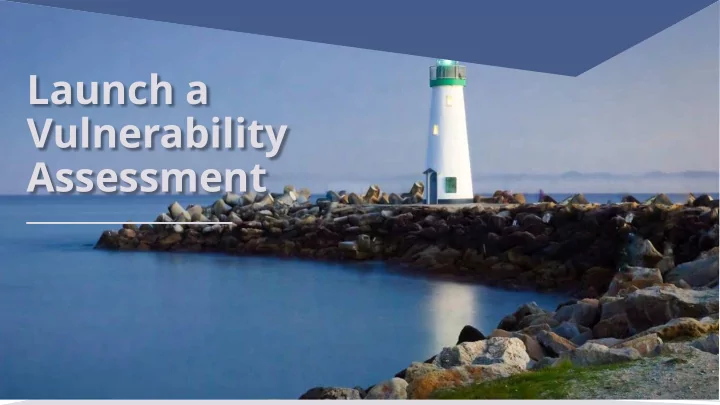 launch a vulnerability assessment