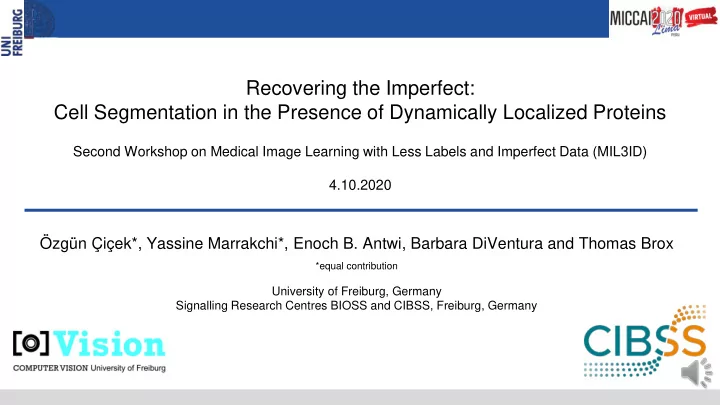 recovering the imperfect cell segmentation in the