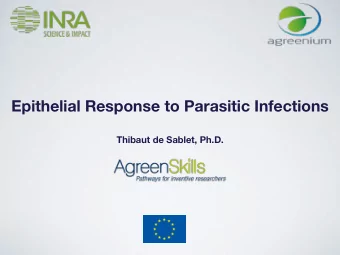 Epithelial Response to Parasitic Infections  Thibaut de Sablet, Ph.D. BACKGROUND 2004-2007 PhD