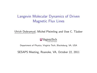Langevin Molecular Dynamics of Driven  Magnetic Flux Lines  Ulrich Dobramysl, Michel Pleimling and