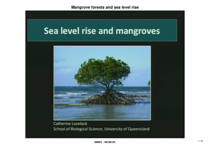 mangrove forests and sea level rise