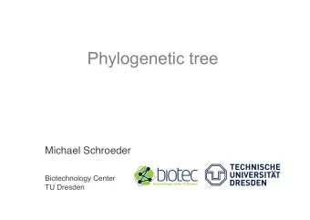 Phylogenetic tree  Michael Schroeder  Biotechnology Center  TU Dresden Phylogenetic trees