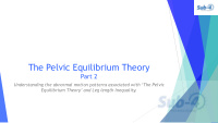 the pelvic equilibrium theory