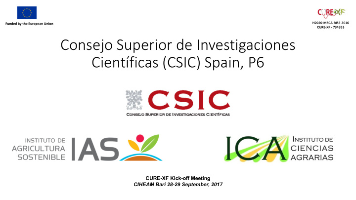 consejo superior de investigaciones cient ficas csic