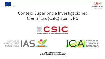 Consejo Superior de Investigaciones  Cientficas (CSIC) Spain, P6  CURE-XF Kick-off Meeting