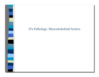 27a pathology musculoskeletal system 27a pathology