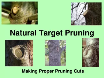 Natural Target Pruning  Making Proper Pruning Cuts  Natural Target Pruning  In this lesson we