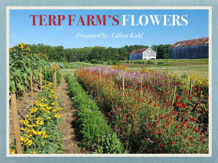 terp farm s flowers