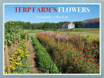 TERP FARMS FLOWERS  Presented by: Lillian Kahl  This all began with last summers team  Flower