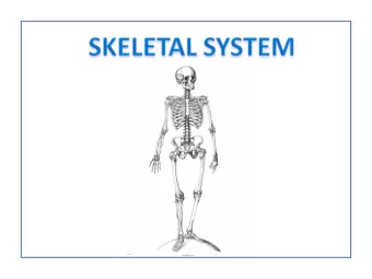 C1: atlas  anterior arch with tubercle  posterior arch with tubercle  lateral mass