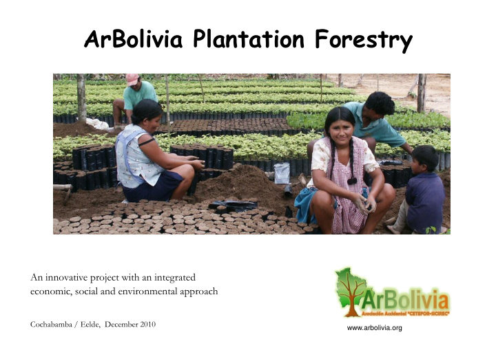 arbolivia plantation forestry