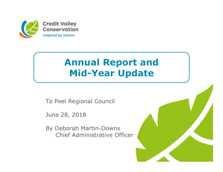annual report and mid year update